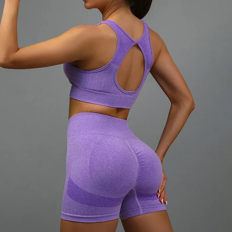 Women’s Yoga Set – Seamless Sports Bra Shorts Workout Fitness Suit